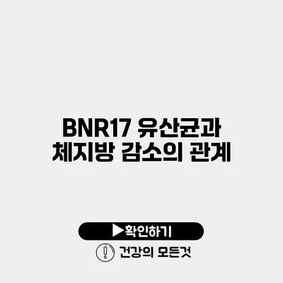 BNR17 유산균과 체지방 감소의 관계