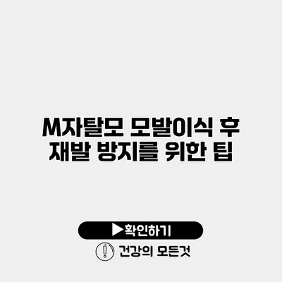 M자탈모 모발이식 후 재발 방지를 위한 팁