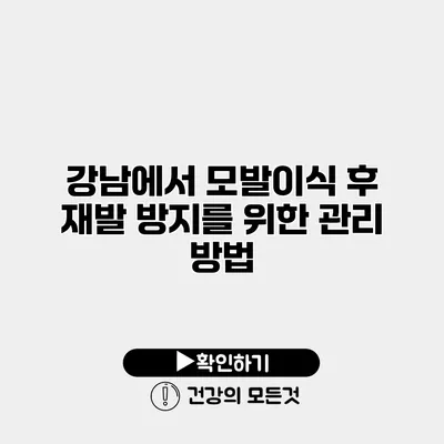 강남에서 모발이식 후 재발 방지를 위한 관리 방법