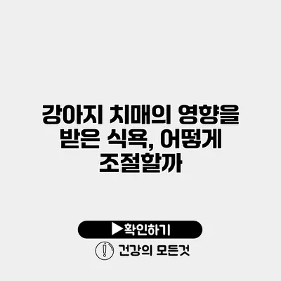 강아지 치매의 영향을 받은 식욕, 어떻게 조절할까?