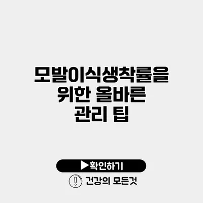 모발이식생착률을 위한 올바른 관리 팁