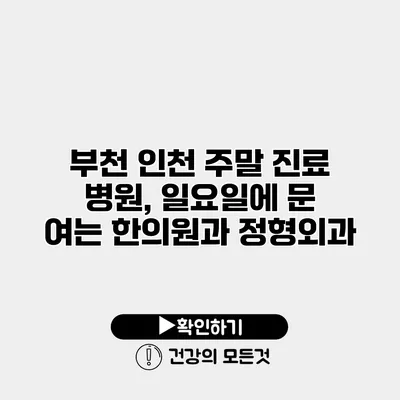 부천 인천 주말 진료 병원, 일요일에 문 여는 한의원과 정형외과