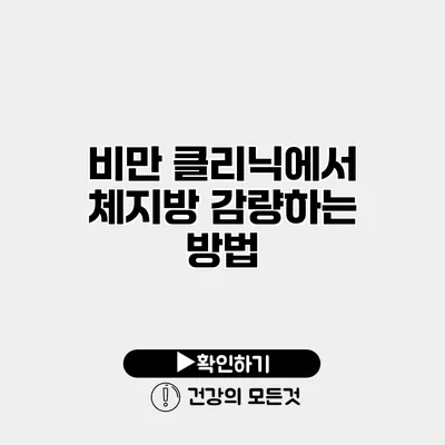 비만 클리닉에서 체지방 감량하는 방법