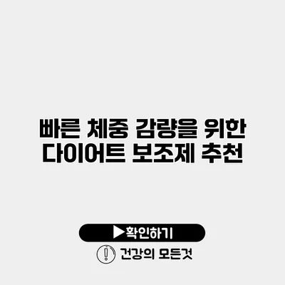 빠른 체중 감량을 위한 다이어트 보조제 추천