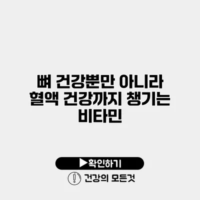뼈 건강뿐만 아니라 혈액 건강까지 챙기는 비타민