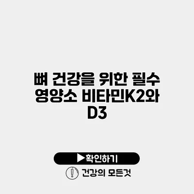 뼈 건강을 위한 필수 영양소 비타민K2와 D3