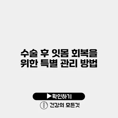 수술 후 잇몸 회복을 위한 특별 관리 방법