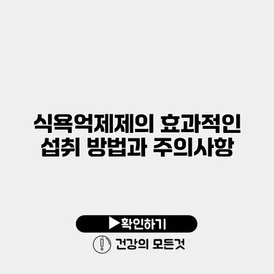 식욕억제제의 효과적인 섭취 방법과 주의사항