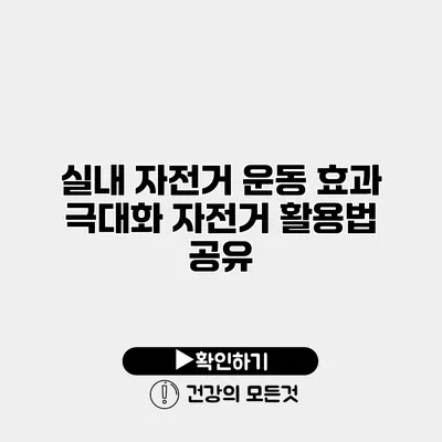 실내 자전거 운동 효과 극대화 자전거 활용법 공유