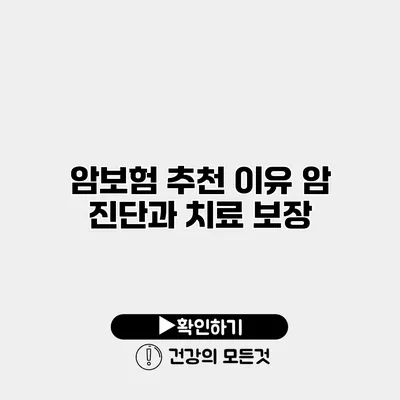 암보험 추천 이유 암 진단과 치료 보장