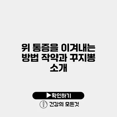 위 통증을 이겨내는 방법 작약과 꾸지뽕 소개