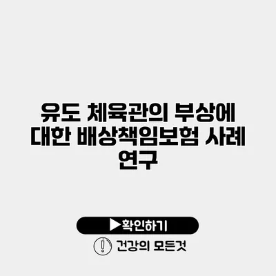 유도 체육관의 부상에 대한 배상책임보험 사례 연구