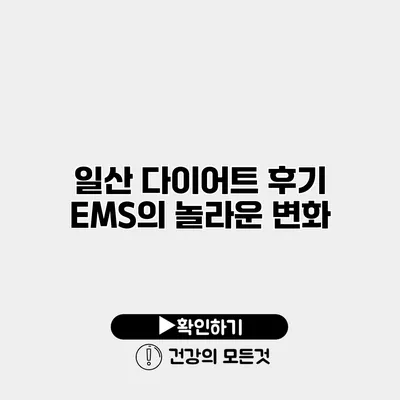 일산 다이어트 후기 EMS의 놀라운 변화