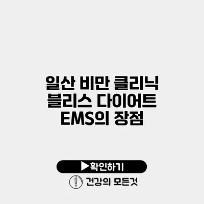 일산 비만 클리닉 블리스 다이어트 EMS의 장점