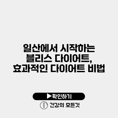 일산에서 시작하는 블리스 다이어트, 효과적인 다이어트 비법