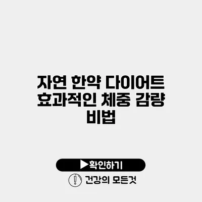 자연 한약 다이어트 효과적인 체중 감량 비법