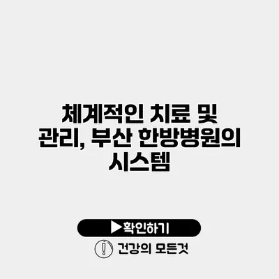 체계적인 치료 및 관리, 부산 한방병원의 시스템