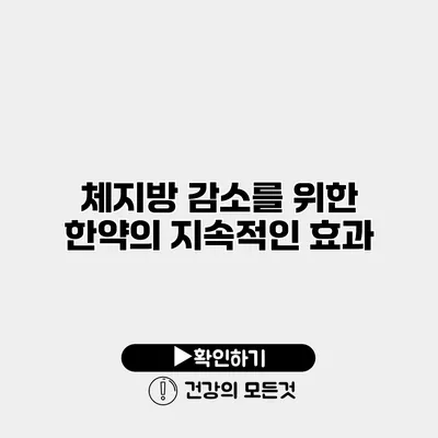 체지방 감소를 위한 한약의 지속적인 효과