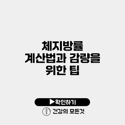 체지방률 계산법과 감량을 위한 팁