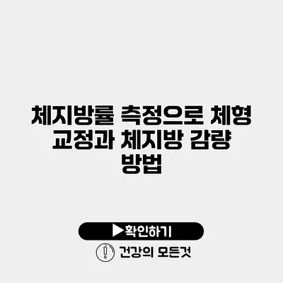 체지방률 측정으로 체형 교정과 체지방 감량 방법