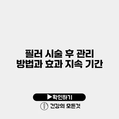 필러 시술 후 관리 방법과 효과 지속 기간