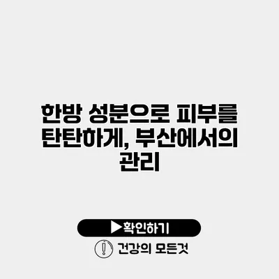 한방 성분으로 피부를 탄탄하게, 부산에서의 관리