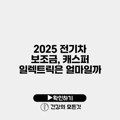 2025 전기차 보조금, 캐스퍼 일렉트릭은 얼마일까?