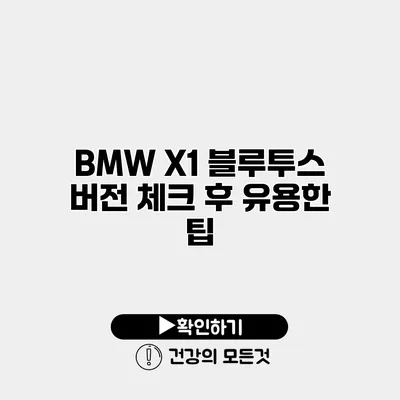 BMW X1 블루투스 버전 체크 후 유용한 팁