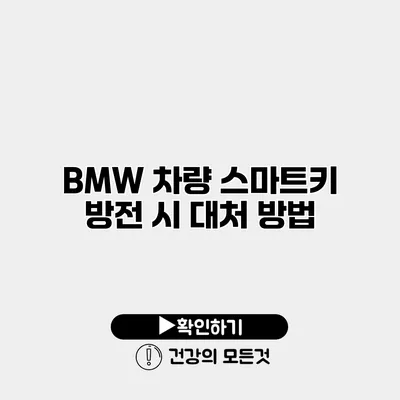BMW 차량 스마트키 방전 시 대처 방법