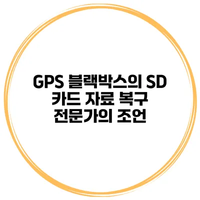 GPS 블랙박스의 SD 카드 자료 복구 전문가의 조언