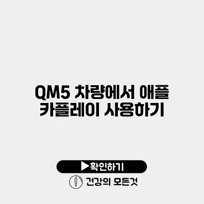 QM5 차량에서 애플 카플레이 사용하기
