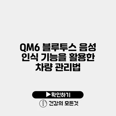 QM6 블루투스 음성 인식 기능을 활용한 차량 관리법