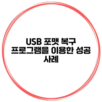 USB 포맷 복구 프로그램을 이용한 성공 사례