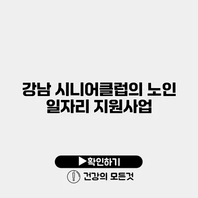 강남 시니어클럽의 노인 일자리 지원사업