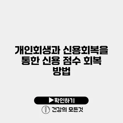 개인회생과 신용회복을 통한 신용 점수 회복 방법