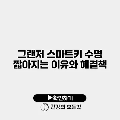 그랜저 스마트키 수명 짧아지는 이유와 해결책