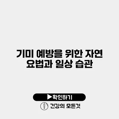 기미 예방을 위한 자연 요법과 일상 습관