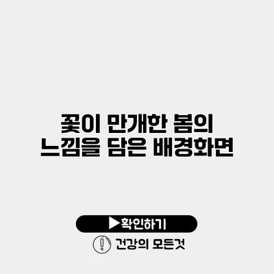 꽃이 만개한 봄의 느낌을 담은 배경화면