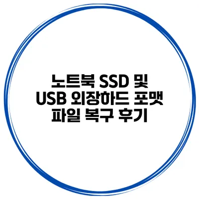 노트북 SSD 및 USB 외장하드 포맷 파일 복구 후기