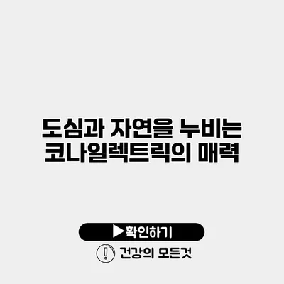 도심과 자연을 누비는 코나일렉트릭의 매력