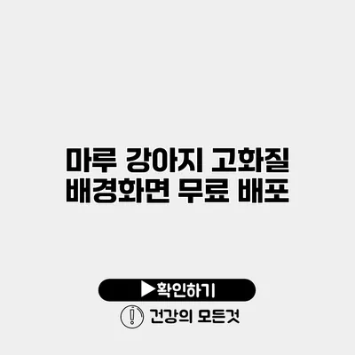 마루 강아지 고화질 배경화면 무료 배포