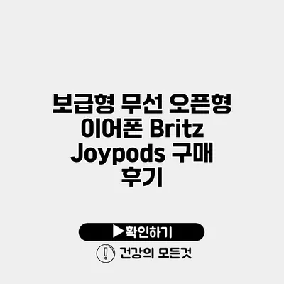 보급형 무선 오픈형 이어폰 Britz Joypods 구매 후기