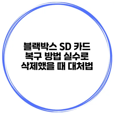 블랙박스 SD 카드 복구 방법 실수로 삭제했을 때 대처법