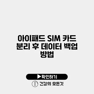 아이패드 SIM 카드 분리 후 데이터 백업 방법