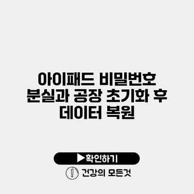 아이패드 비밀번호 분실과 공장 초기화 후 데이터 복원
