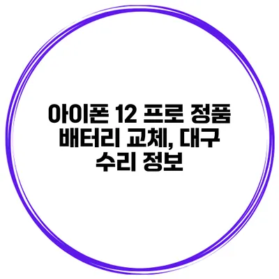 아이폰 12 프로 정품 배터리 교체, 대구 수리 정보