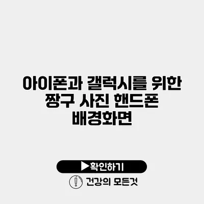 아이폰과 갤럭시를 위한 짱구 사진 핸드폰 배경화면