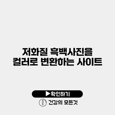 저화질 흑백사진을 컬러로 변환하는 사이트