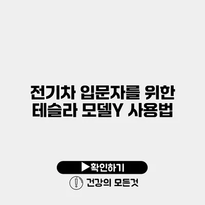 전기차 입문자를 위한 테슬라 모델Y 사용법