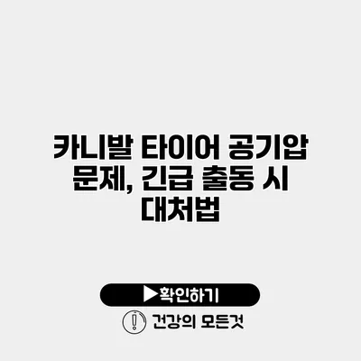 카니발 타이어 공기압 문제, 긴급 출동 시 대처법